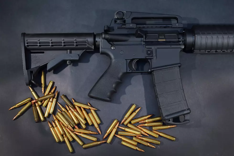Gun Ban Proposal Introduced In Washington