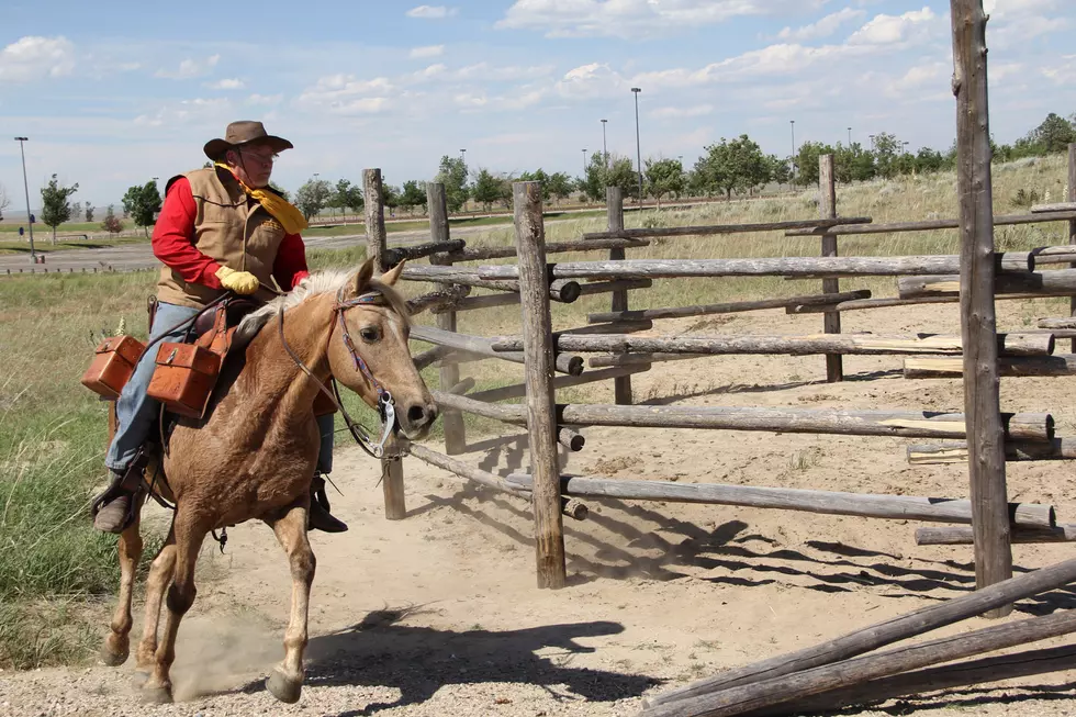 Want The Pony Express To Carry Your Christmas Cards This Year?