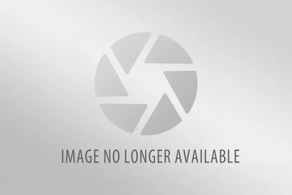 Announcing The 2012 Beartrap Music Series