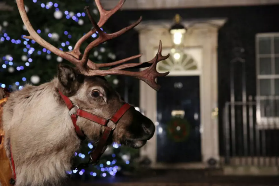 Wyoming’s Weird Reindeer Law Could Get Santa Fined